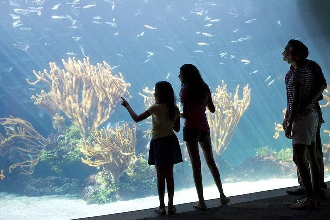 crystal-caves-aquarium-city-of-hamilton-and-ferry