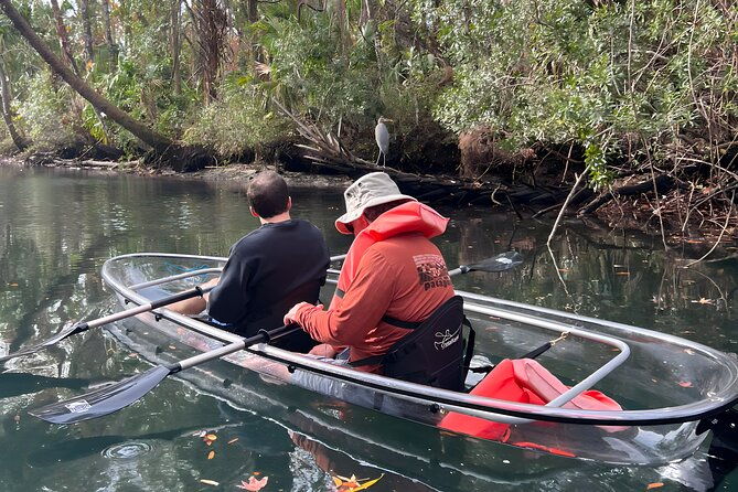 crystal-river-sunset-and-glow-clear-kayak-manatee-tour