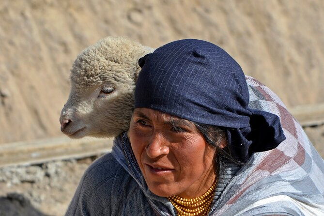 cuenca-to-quito-4-or-5-day-tour-with-chimborazo-quilotoa-banos-and-cotopaxi