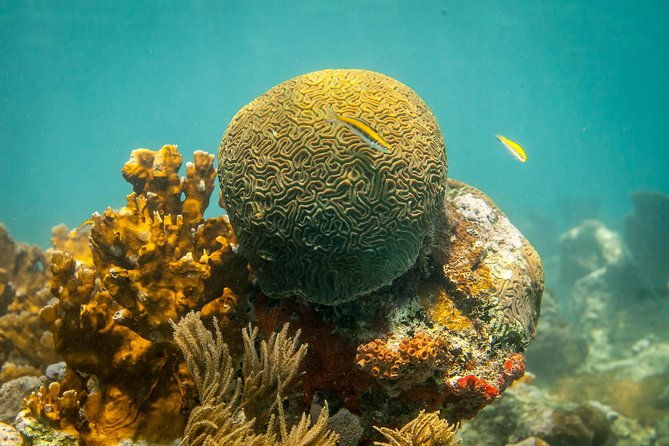 culebra-snorkeling-tour-by-catamaran-from-fajardo