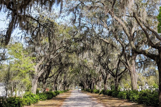 custom-savannah-private-tour-2