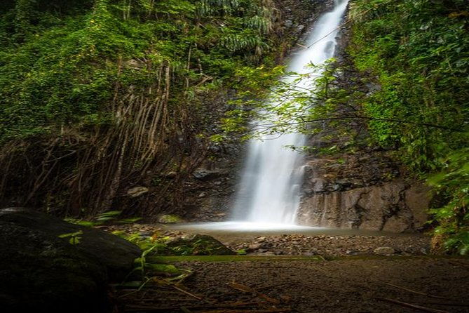 dark-view-falls-tour-with-trubb-taxi-tours-svg
