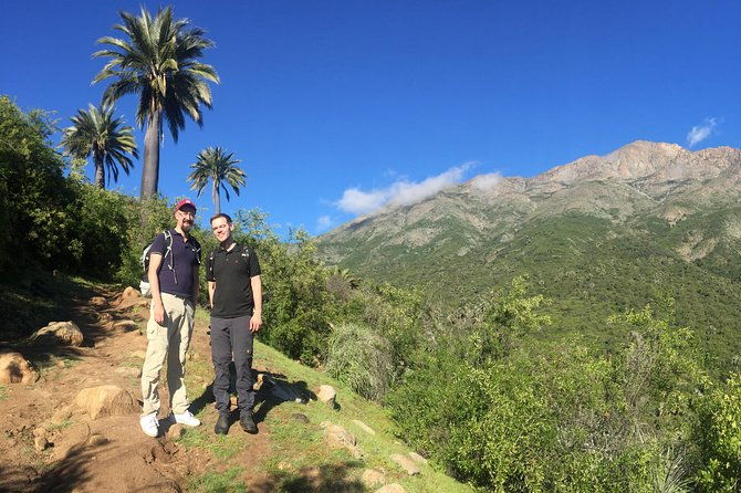 darwins-route-traversing-the-chilean-palm-forest