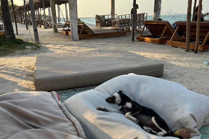 day-on-tierra-bomba-island-all-inclusive-beach-club