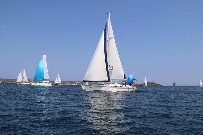 day-sailing-adventure-in-the-florida-marine-sanctuary
