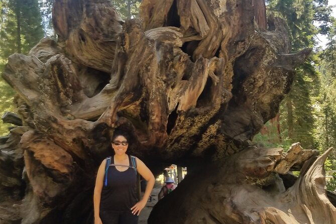 day-tour-to-kings-canyon-national-park