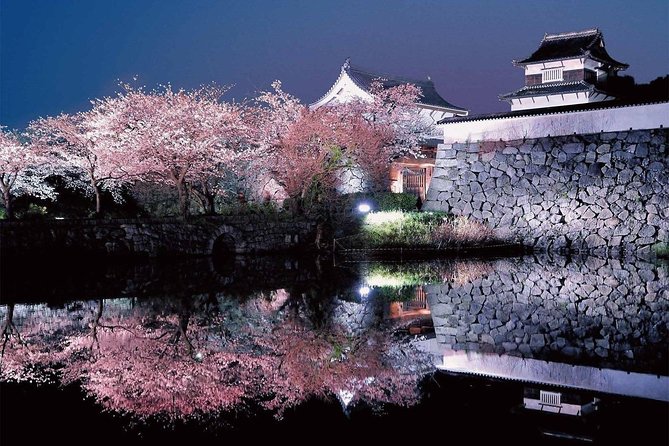 day-trip-for-sakura-at-aso-kumamoto-from-fukuoka-with-minibus