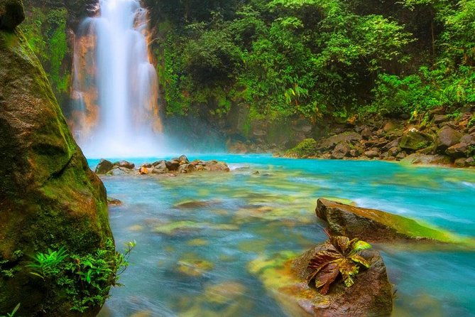 day-trip-to-rio-celeste-from-san-jose