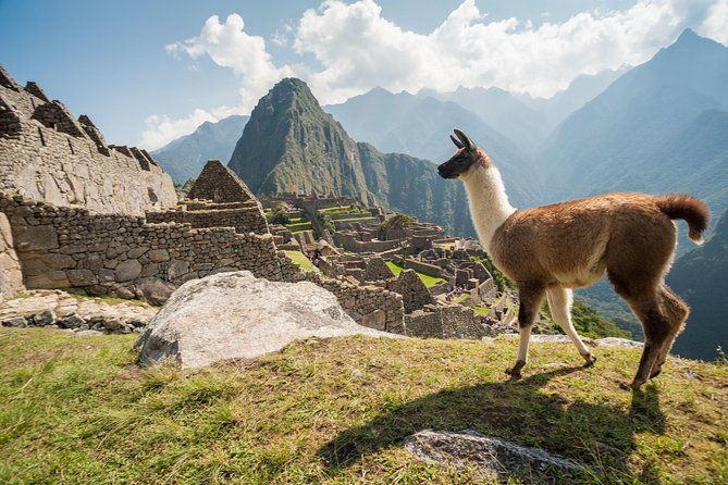 day-trip-tour-to-machu-picchu-from-cusco