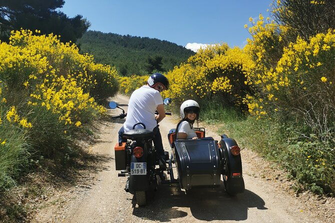 day-wine-tour-in-provence