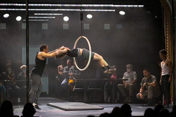dear-san-francisco-aerial-extravaganza-show