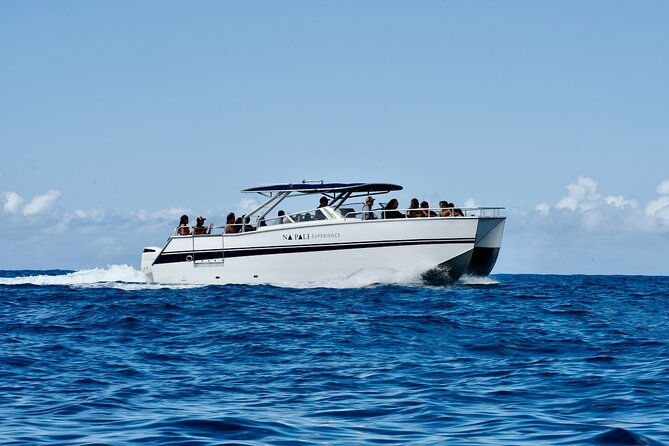 deluxe-power-catamaran-2