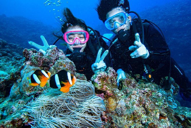 departing-from-onna-village-maeda-fishing-port-minna-island-snorkel-trolling-experience-completely-reserved-boat-charter-plan-7-hours-course
