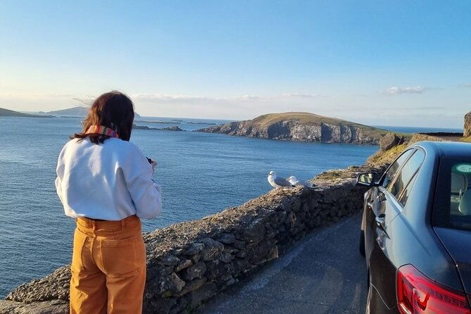 dingle-hour-slea-head-drive-tour-4hr-personal-chauffeur-guide