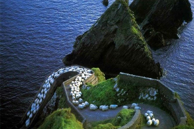 dingle-peninsula-day-tour-from-killarney-including-the-wild-altanic-way