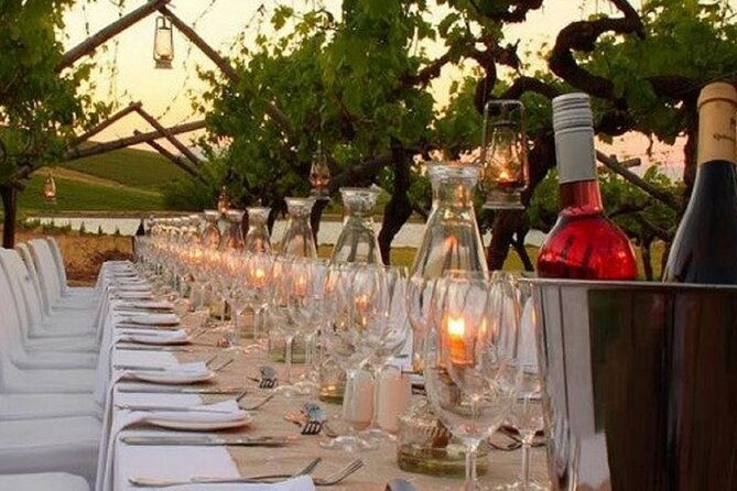 dinner-in-the-vineyards-2