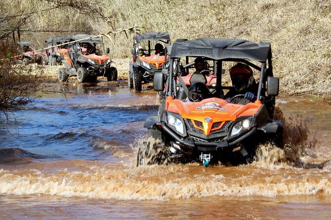 dirt-dust-buggy-tour