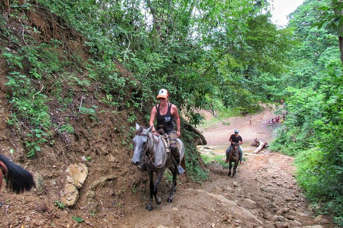 discover-a-nature-reserve-on-horseback