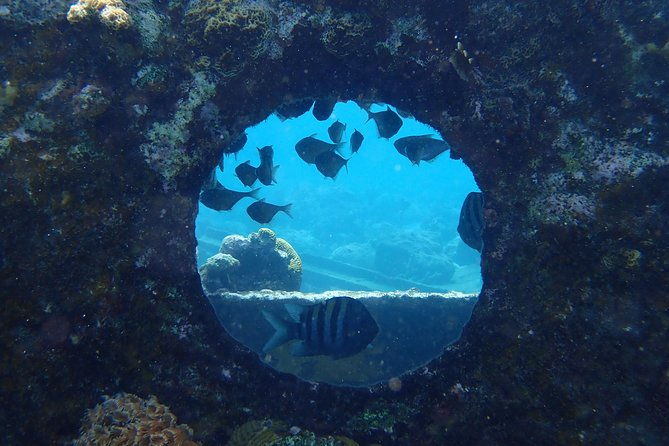 discover-diving-in-curacao