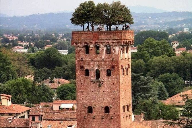 discover-lucca-and-pisa-and-enjoy-buccellato-cake-full-day-tour