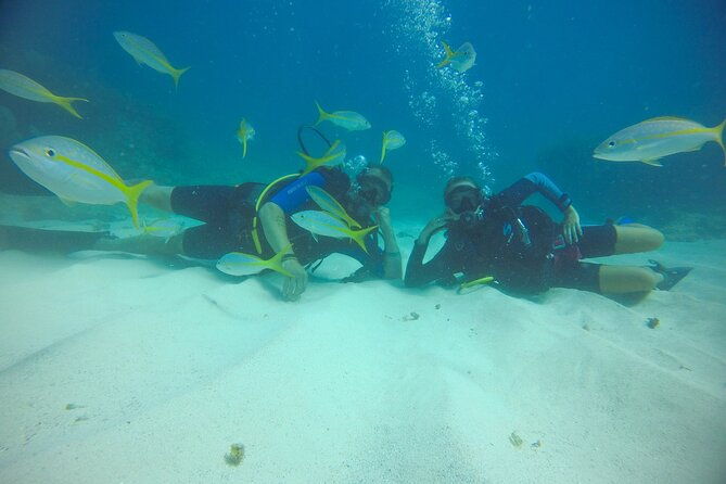 discover-scuba-diving-dsd