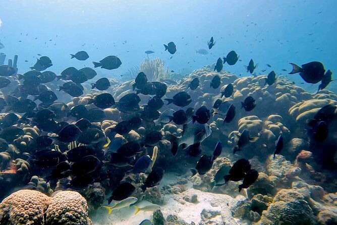 discover-scuba-diving-experience-2