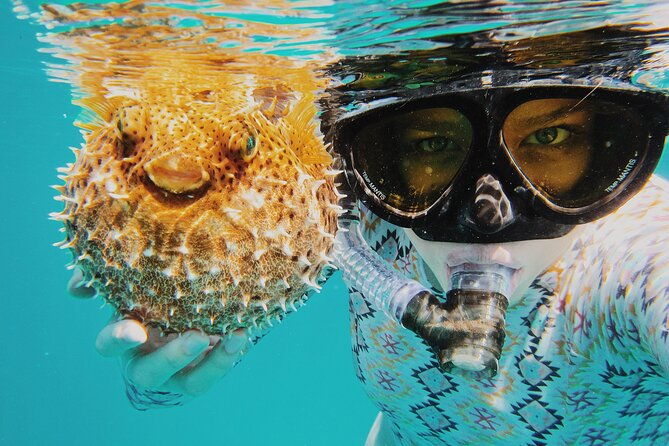 discover-scuba-diving-in-montego-bay-one-tank-first-time-diving