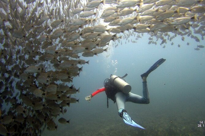 discover-scuba-diving-padi-mini-course-tamarindo