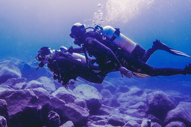 discover-scuba-diving-tenerife-photos-and-videos-included