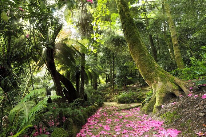 discover-sintras-hidden-gems-on-our-walking-tour