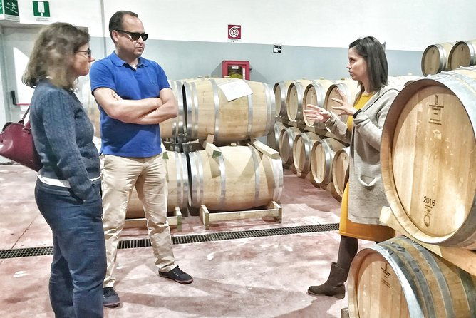 discover-the-best-cellars-of-salento