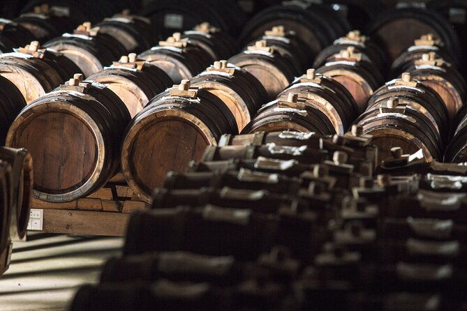 discovering-the-balsamic-vinegar-of-modena