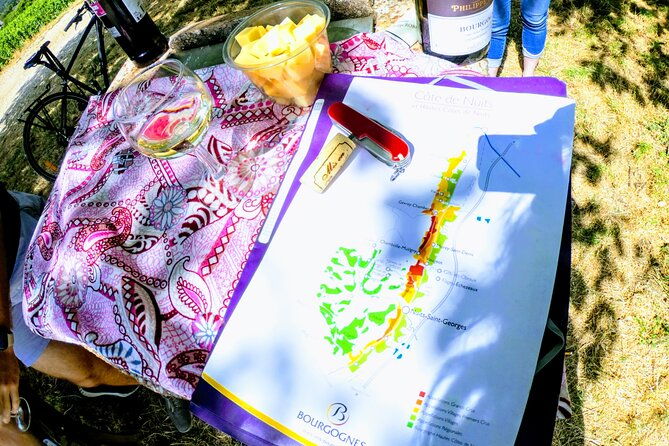 discovery-by-bike-tasting-in-the-vineyards