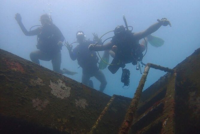 diving-in-playa-blanca-baru-with-lunch-cartagena-colombia