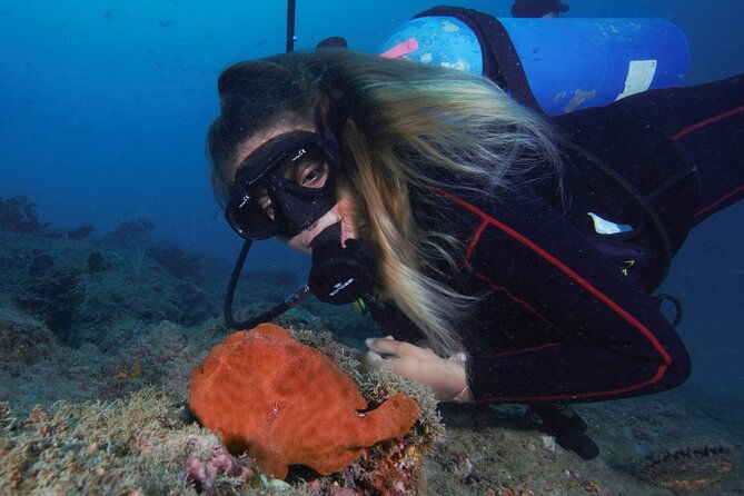 diving-tour-in-isla-del-cano-for-certified-divers