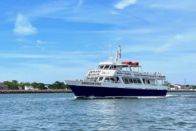 dolphin-and-bird-watching-ecotour-cruise