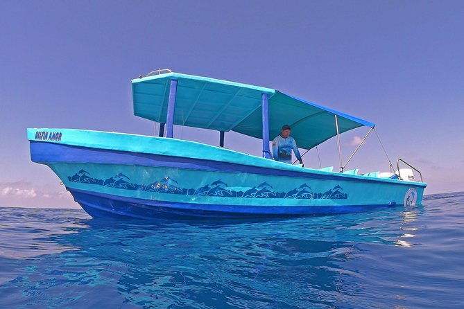 dolphin-and-whale-watching-tour-in-drake-bay-as-seen-on-national-geographic