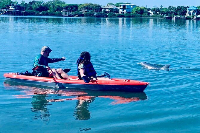dolphin-manatee-and-sea-turtle-kayak-adventure-2