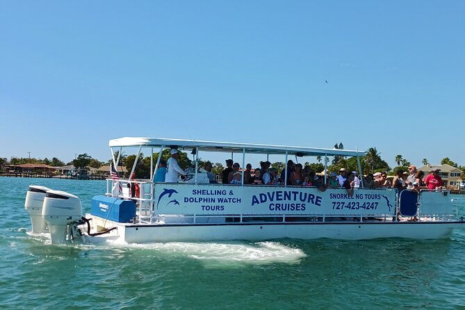 dolphin-shelling-snorkeling-tours-private-charters-2