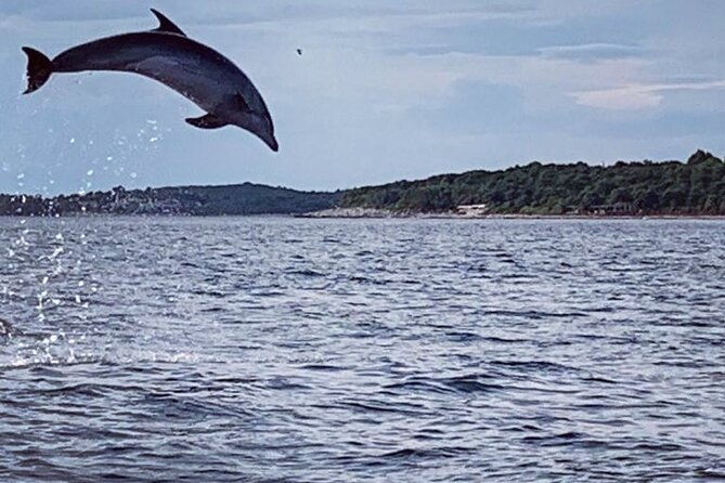 dolphin-sunrise-adventure-with-speedboat