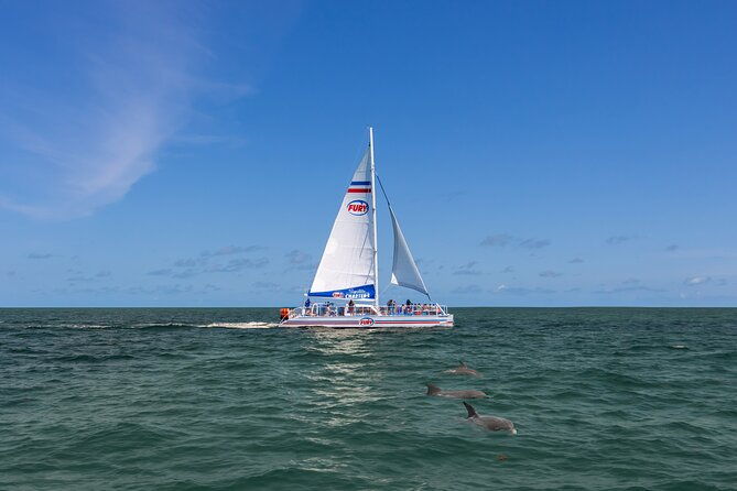 dolphin-watch-historical-harbor-tour-in-st-augustine-2