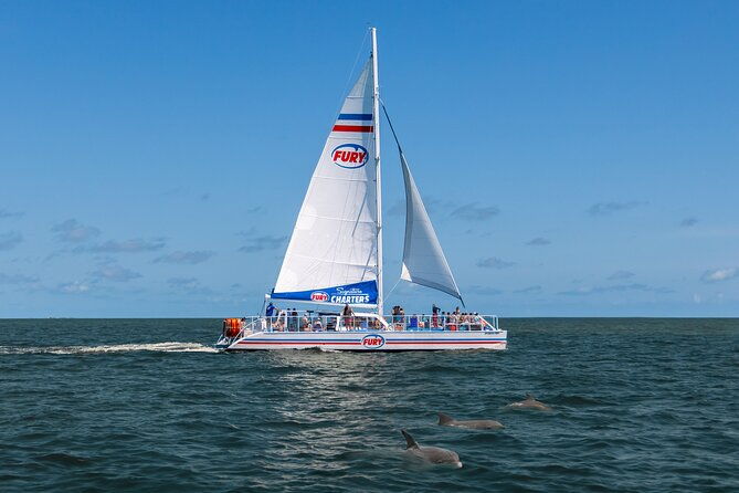 dolphin-watch-historical-harbor-tour-in-st-augustine