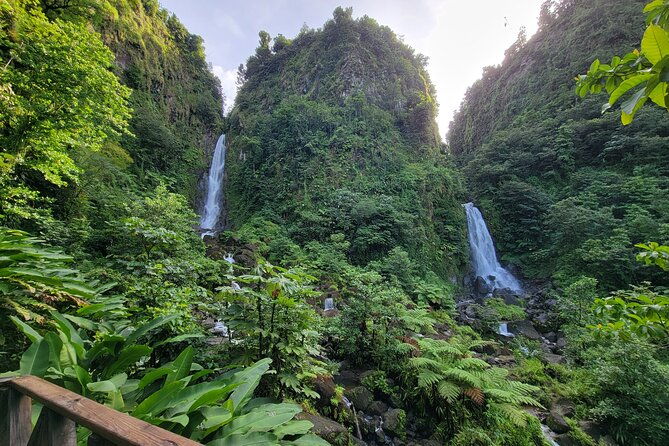 dominica-roseau-city-and-rainforest-tour