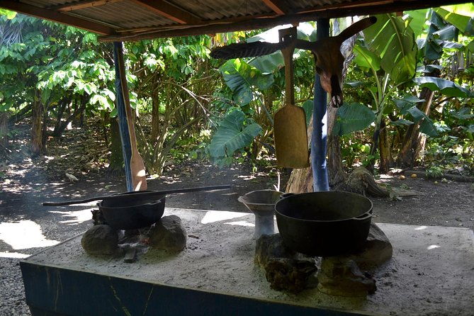 dominican-republic-countryside-safari-tour-from-punta-cana