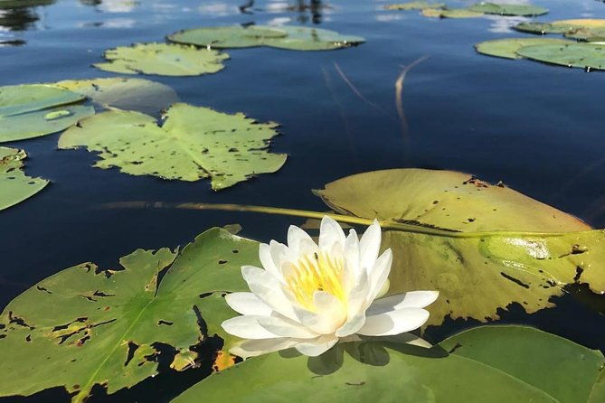 door-county-wetlands-kayak-tour