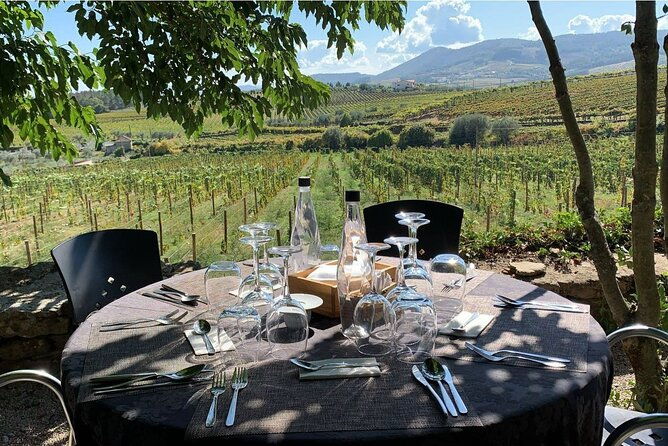 douro-full-day-tour-with-wine-tasting-and-lunch-2