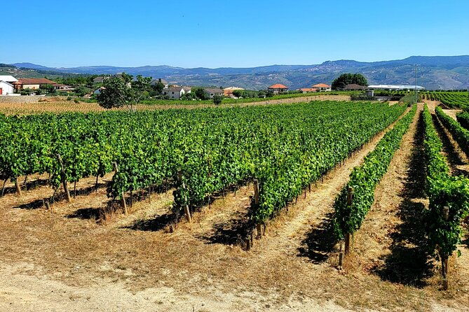 douro-valley-private-tour-winery-boat-viewpoint