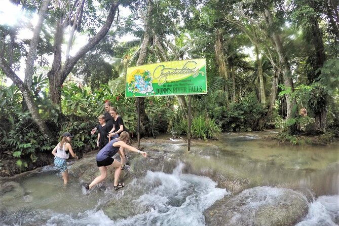 dunns-river-falls-luminous-lagoon-guided-tour-with-admission-from-falmouth