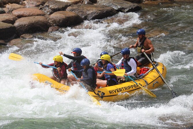 durango-4-5-half-day-rafting-trip-down-the-animas-river