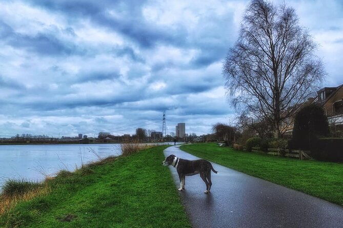dutch-windmills-polder-walking-tour-2